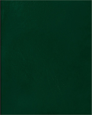 Тетрадь BG Т4бв80к_12324 (80л, зеленый)