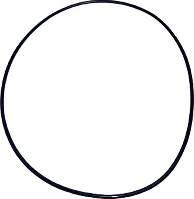 Кольцо уплотнительное для фильтра Аквабрайт Р-10ББ-ПР