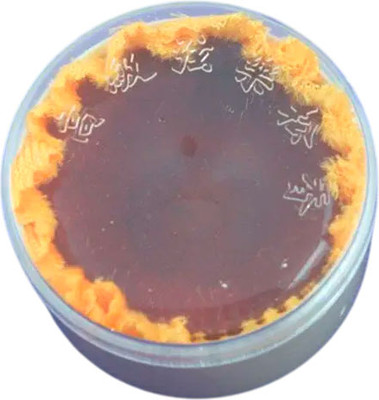 Канифоль для смычковых Alice A013-2