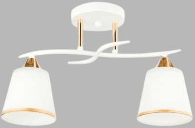 Потолочный светильник Aitin-Pro НПБ 02-2x60-101 / 6100/2 (белый/зотоло)