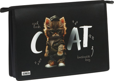 Папка для труда ArtSpace Cat Life / ПТР-22_58231