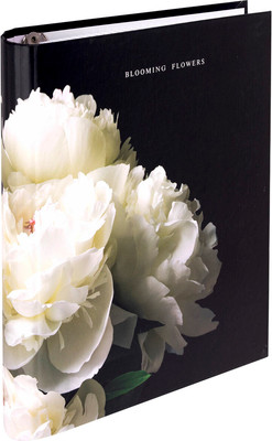 Тетрадь Brauberg 404721 (120л)