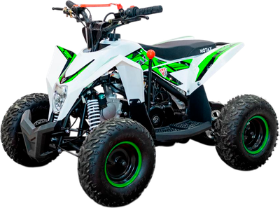 Электроквадроцикл Motax Gekkon E1300 (черный/белый/зеленый)