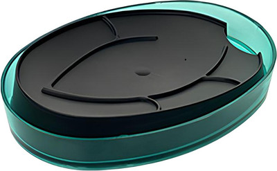 Мыльница Berossi Boho АС 97366000 (мята полупрозрачный)