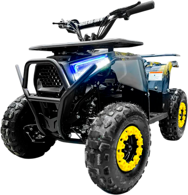 Электроквадроциклы