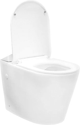 Чаша унитаза напольного AV Engineering ART / AVFTR2857 (без бачка)