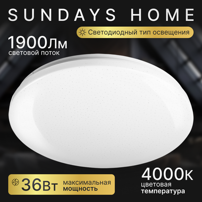 Потолочный светильник Sundays Home 240924-5 / 5719