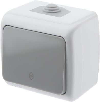 Выключатель INTRO Atlantic 5-103-03 / Б0050942 (серый)