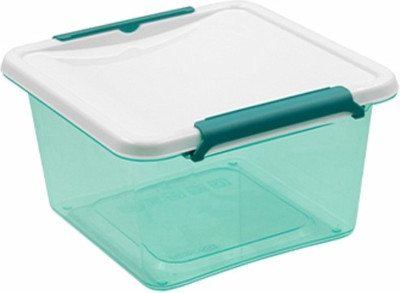 Контейнер Berossi Monaco ИК 78166000 (мята полупрозрачный)