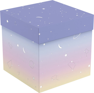 Коробка подарочная Meshu Universe / MS_62558