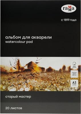 Альбом для рисования ГАММА Старый Мастер / 215538AGRC (20л)