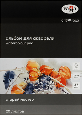 Альбом для рисования ГАММА Старый Мастер / 215535AGRC (20л)