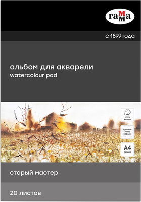 Альбом для рисования ГАММА Старый Мастер / 215536AGRC (20л)
