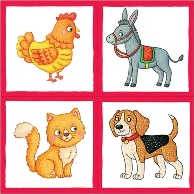 Развивающий игровой набор Айрис-пресс Умные кубики в поддончике. Кто где живет new