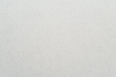 Виниловые обои Артекс Путешествия 11210-02