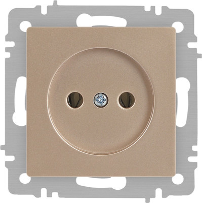 Розетка INTRO Accent 6-201-04 / Б0063663 (шампань)