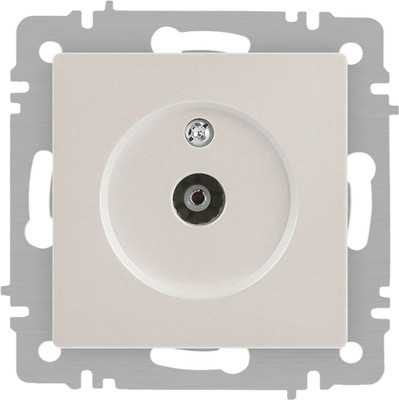 Розетка INTRO Accent 6-301-06 / Б0063613 (перламутр)