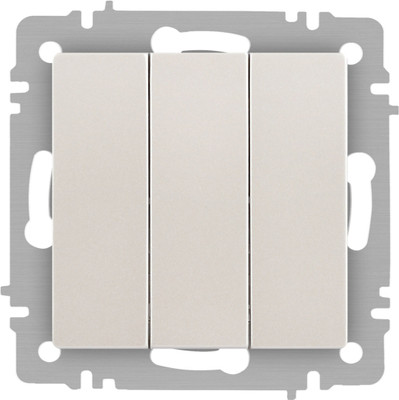 Выключатель INTRO Accent 6-106-06 / Б0063542 (перламутр)