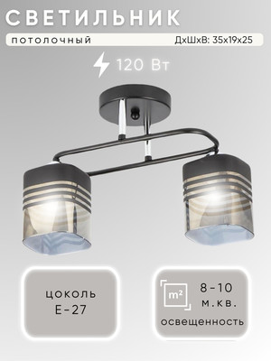Потолочный светильник Aitin-Pro НПБ 02-2x60-101 / 70205/2 (черный/хром)