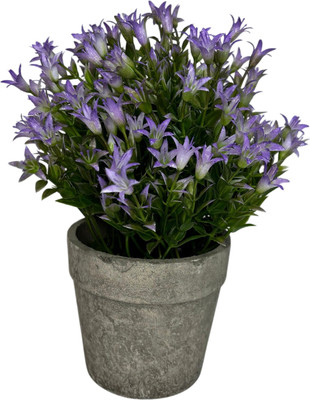 Искусственное растение Merry Bear Home Decor EGB5524002 (24см, сиреневый)