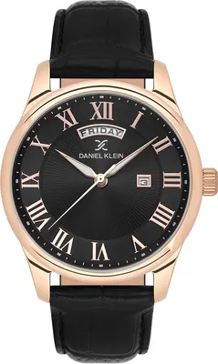 Часы наручные мужские Daniel Klein 13819-5