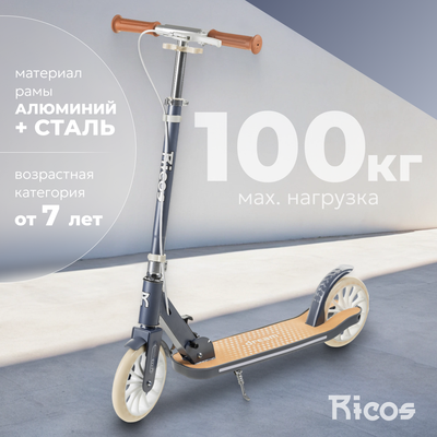 Самокат городской Ricos Dart JSCT1 (темно-синий)