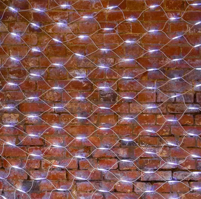 Светодиодная сеть Neon-Night 217-145 (3x2м, белый)