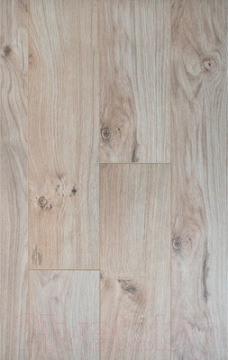 Ламинат Kastamonu Sunfloor Дуб Родос (SF33CV-103)