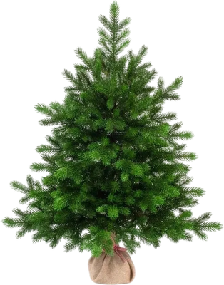 Ель искусственная National Tree Company Астерия Премиум 3D / Астр/ПР-90 (90см)