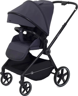 Детская прогулочная коляска Rant Moss / RA323 (Graphite)