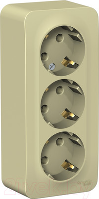 Розетка Systeme (Schneider) Electric Blanca BLNRA010317