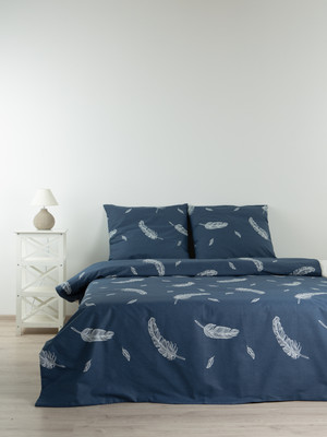 Комплект постельного белья Блакiт Евро Перо 70х70 41261/0/633901 К