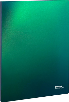 Папка для бумаг Стамм Хамелеон / ММ-31867 (зеленый)