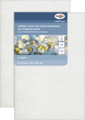 Набор холстов для рисования ГАММА Студия / 280818_13Р2 (2шт, хлопок)