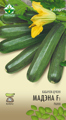 Семена МинскСортСемОвощ Кабачок. Модена Эксперт F1 (6шт)