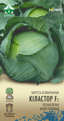 Семена МинскСортСемОвощ Капуста б/к. Киластор Эксперт F1 (12шт)