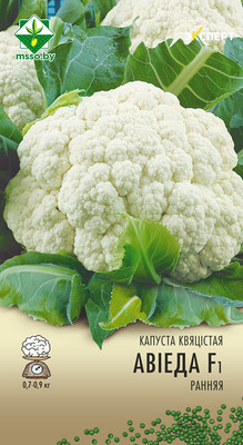 Семена МинскСортСемОвощ Капуста цветная. Овиедо Эксперт F1 (12шт)