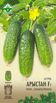 Семена МинскСортСемОвощ Огурец. Аристан Эксперт F1 (10шт)