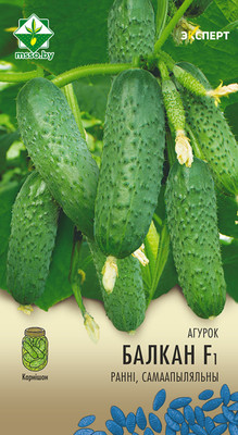 Семена МинскСортСемОвощ Огурец. Балкан Эксперт F1 (7шт)
