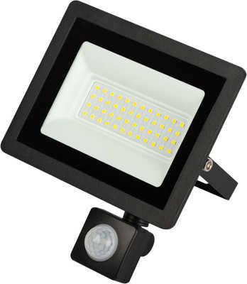 Прожектор ЭРА LPR-042-2-65K-050 / Б0064292