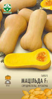 Семена МинскСортСемОвощ Тыква. Матильда мускатная Эксперт F1 (5шт)