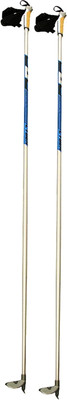 Палки для беговых лыж TREK Cyber (р.160, серебристый/синий)