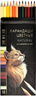 Набор цветных карандашей Феникс+ Натурель / 64103 (12цв)
