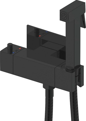Гигиенический душ со смесителем Rose R965H (черный)