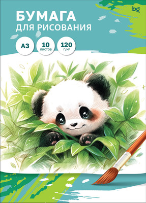 Набор бумаги для рисования BG Пр10А3_58059 (10л)