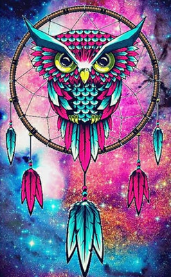 Набор алмазной вышивки Darvish Ловец снов / DV-15478-2