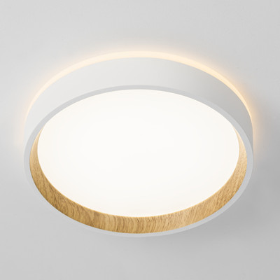 Светильник Citilux Etalon CL750180 (белый/бук)