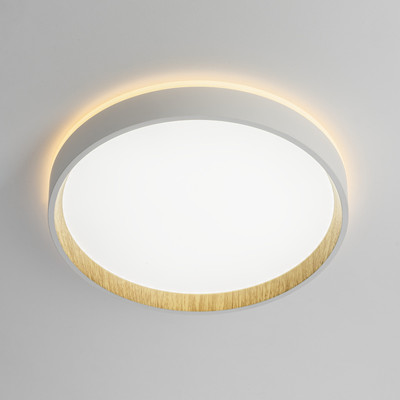 Светильник Citilux Etalon CL750240 (белый/бук)