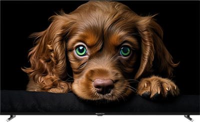 Телевизор Topdevice 55" QLED CQ08 TDTV55CQ08UBK