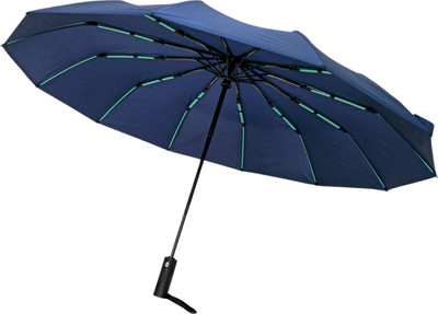 Зонт складной RS (Rain Sing) RS12W (синий)